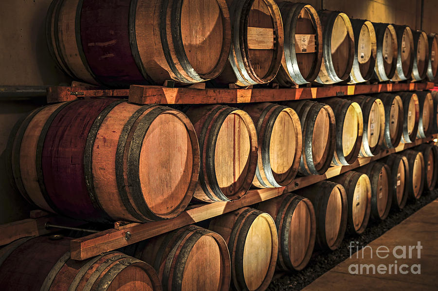 Wine barrels 5 Photograph by Elena Elisseeva