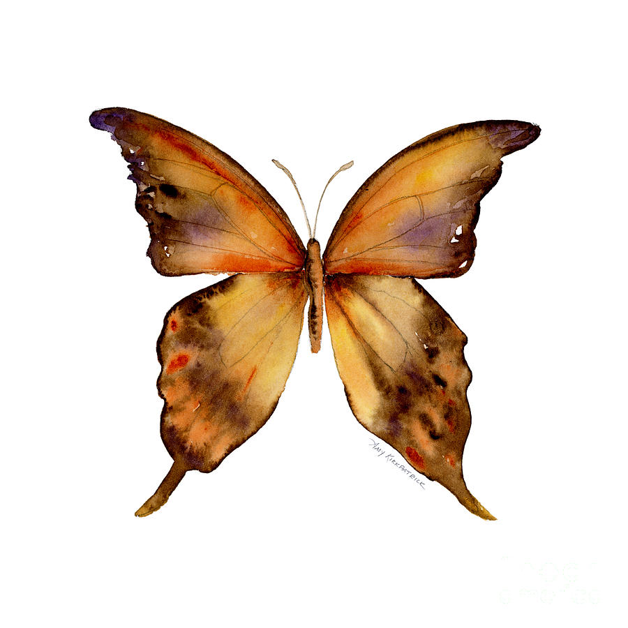 Gorgon Painting - 7 Yellow Gorgon Butterfly by Amy Kirkpatrick