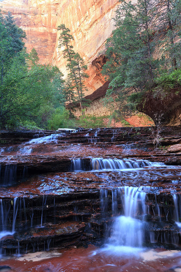 Zion Canyon National Park Photograph by Michele Falzone