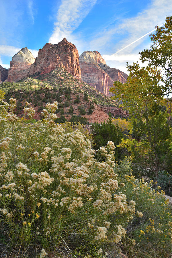Zion National Park #13 Photograph by Ray Mathis