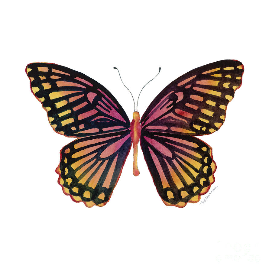 70 Sunrise Mime Butterfly Painting by Amy Kirkpatrick