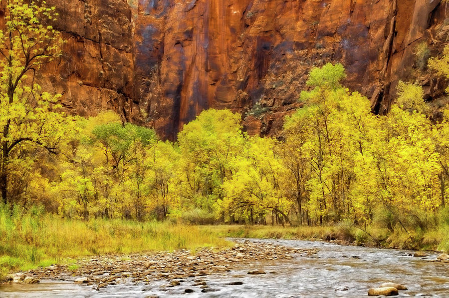 Zion National Park Photograph - USA, Utah, Zion National Park #70 by Jaynes Gallery