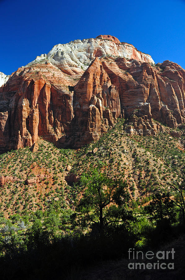 701P Zion National Park Photograph by NightVisions