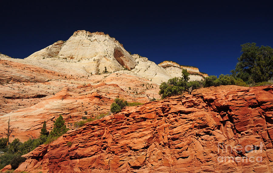 708P Zion National Park  Photograph by NightVisions