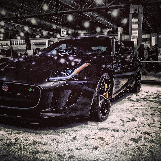 Jaguar Photograph - Instagram Photo #711392258859 by Matt Yates