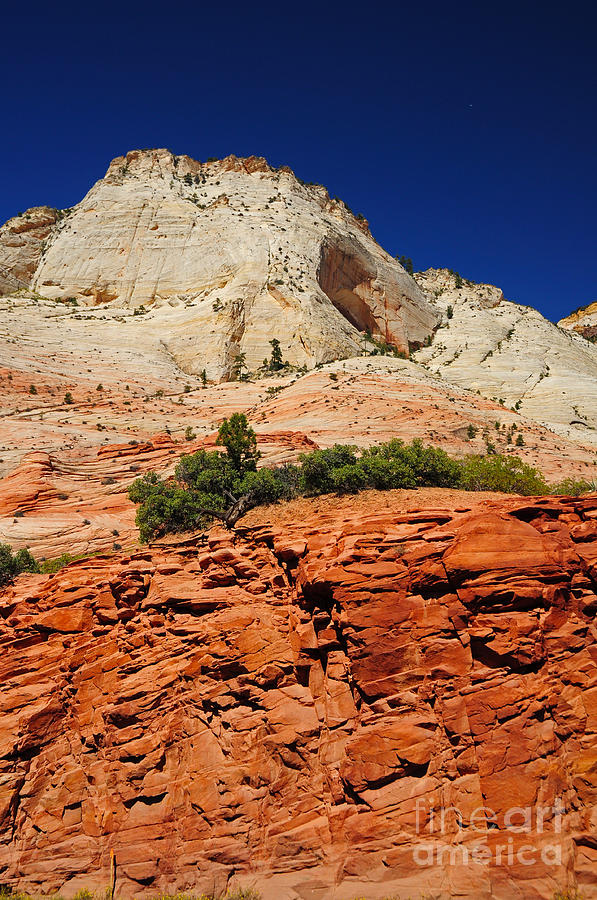 717P Zion National Park Photograph by NightVisions