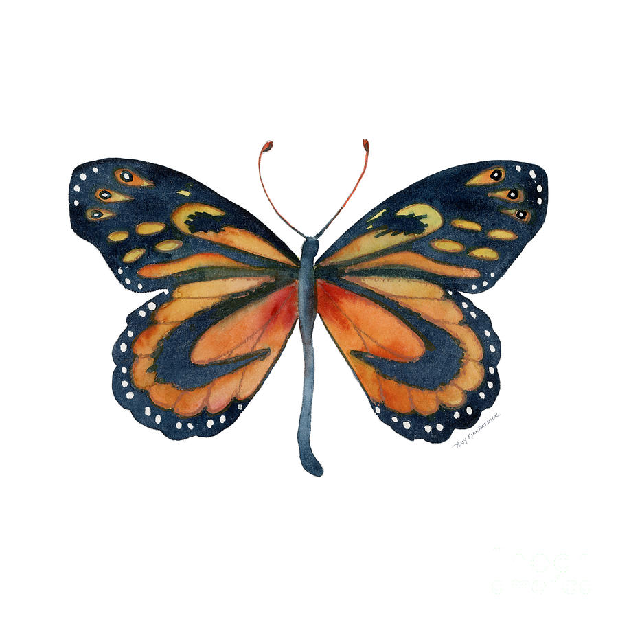 72 Cleobaea Butterfly Painting by Amy Kirkpatrick