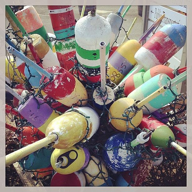 Buoys  Photograph by Anne Phillips