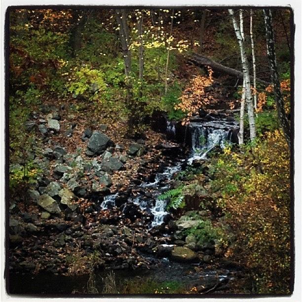 Fall Photograph - Waterfall by Danielle Godfrey