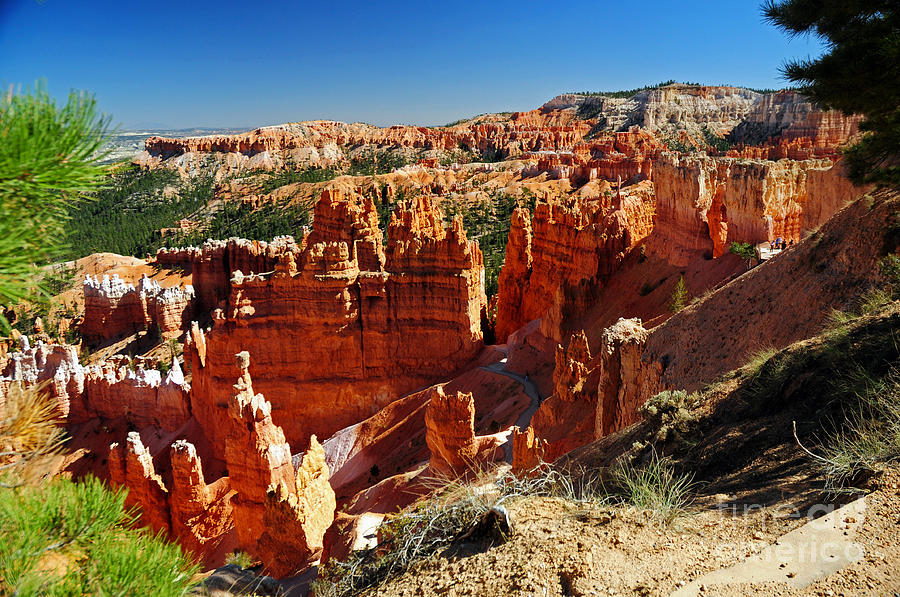 735P Bryce Canyon National Park Photograph by NightVisions