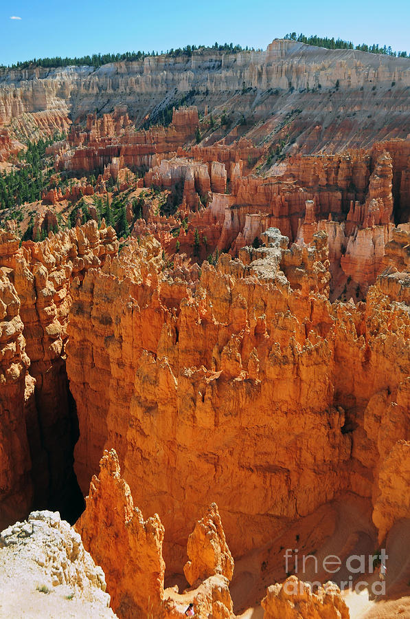 737P Bryce Canyon National Park Photograph by NightVisions