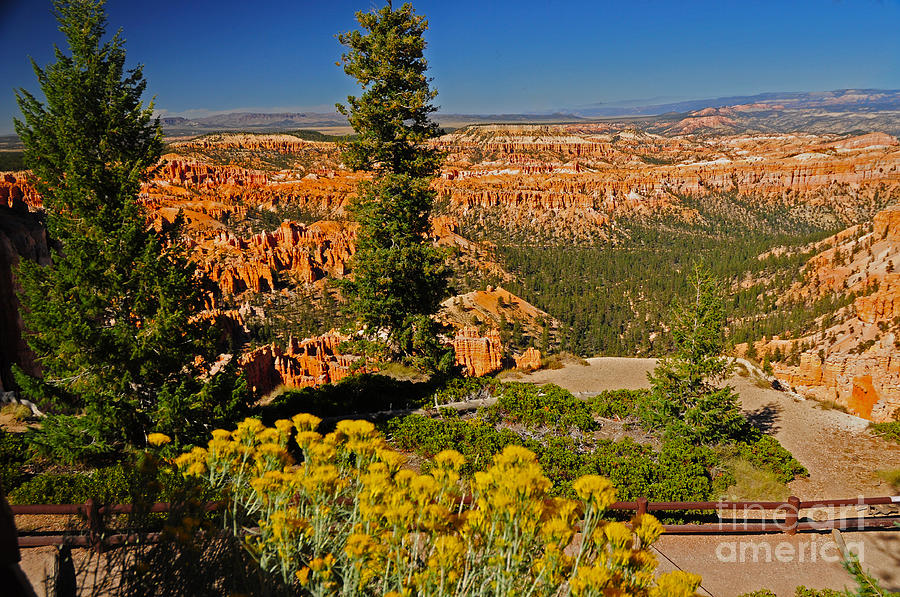 739P Bryce Canyon National Park Photograph by NightVisions