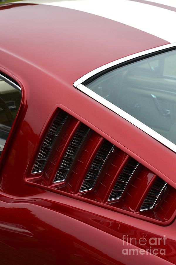 Mustang Fastback Detail Photograph by Dean Ferreira