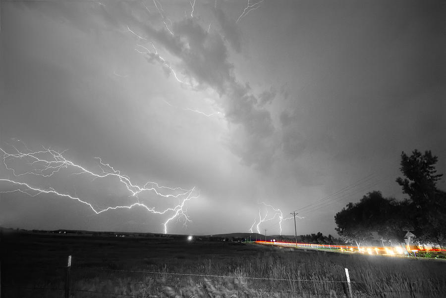 Woodland Lightning Thunderstorm View BWSC Photograph by James BO Insogna