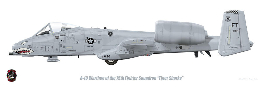 Jet Digital Art - 75th FS A-10 Warthog by Barry Munden