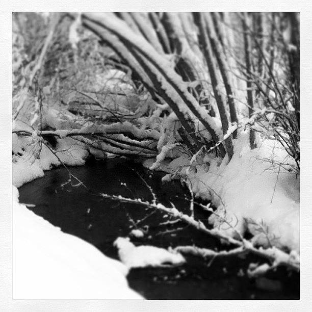 Winter Photograph - Winter Wonderland by Kinsey Rabold