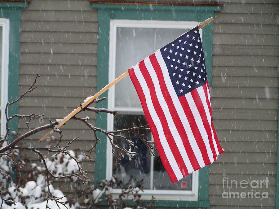 #762 D68 American Flag Winter Photograph by Robin Lee Mccarthy