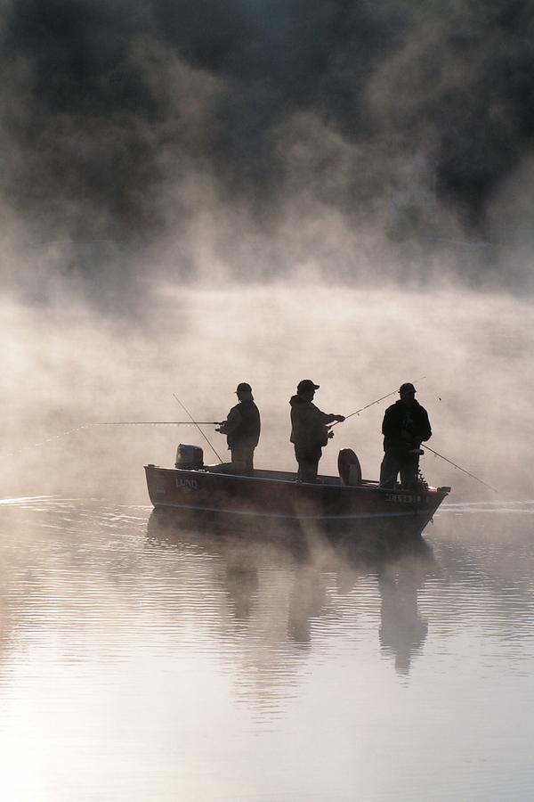 Wildlife Photograph - #763 D70 Fishing At Dawn Vertical #763 by Robin Lee Mccarthy Photography