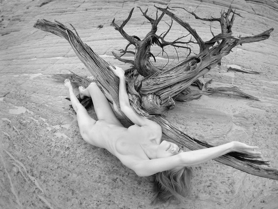 7642 Nude Woman in Desert Wash with Driftwood Black White Infrared Photo Photograph by Chris Maher