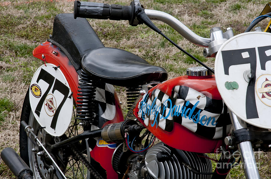 77 Harley Davidson Racer Photograph by Wilma  Birdwell