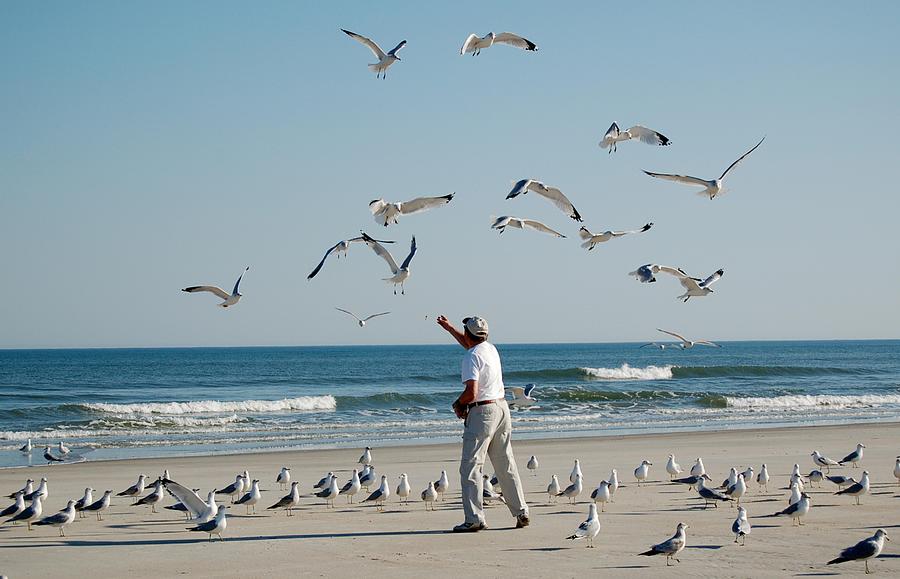79 Seagulls Photograph by Linda Brown