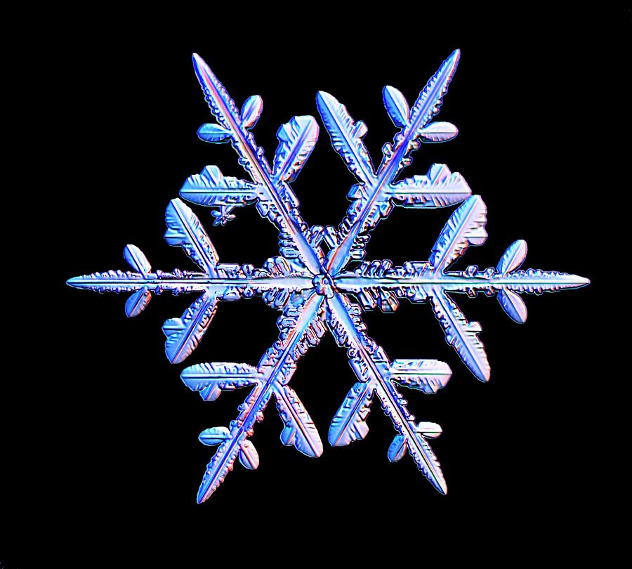 Snowflake #79 Photograph by Kenneth Libbrecht