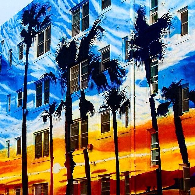 Los Angeles Photograph - Colors of Venice Beach by Hal Bowles