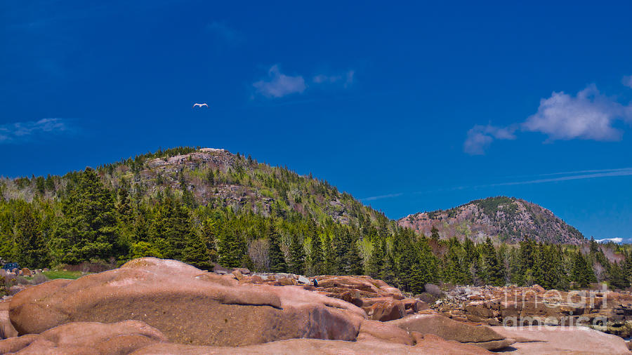 Acadia National Park. #4 Photograph by New England Photography