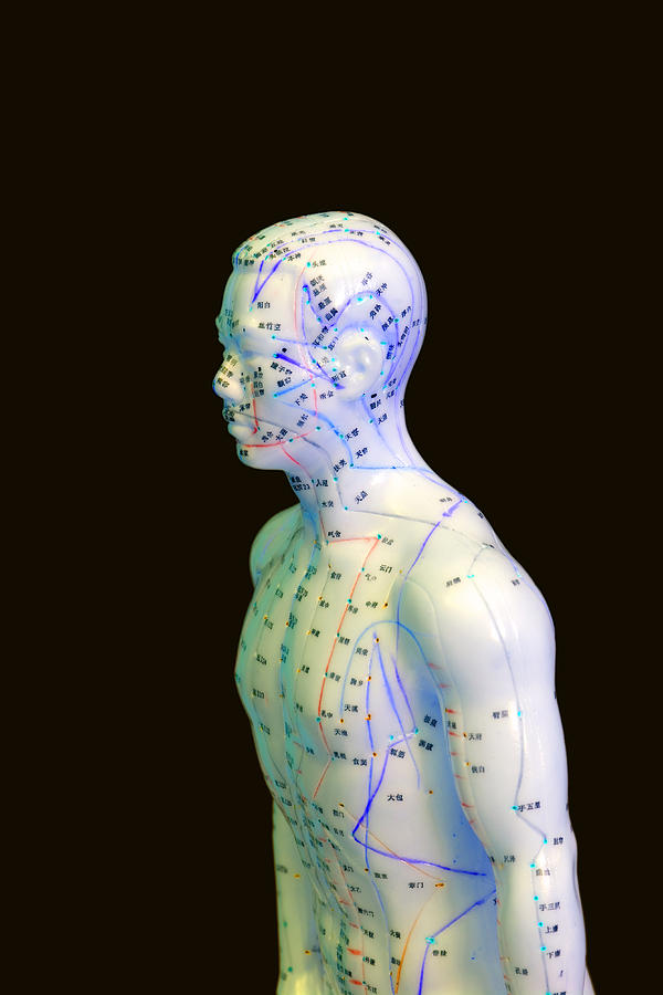 Acupuncture Points #8 Photograph by Science Stock Photography