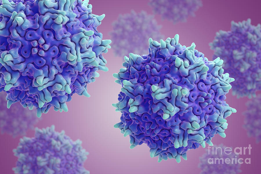 Adeno-associated Virus #8 Photograph by Science Picture Co