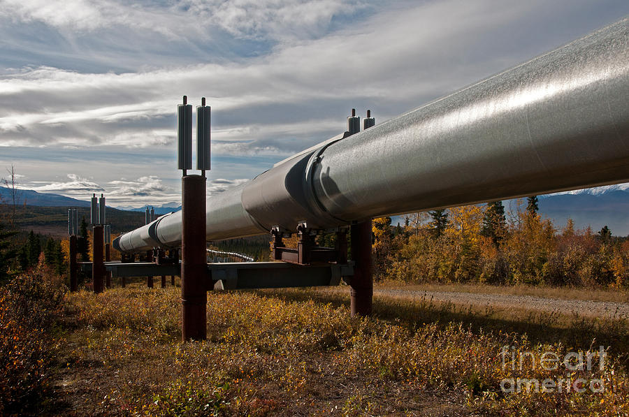 Alaska Oil Pipeline #8 Photograph by Mark Newman