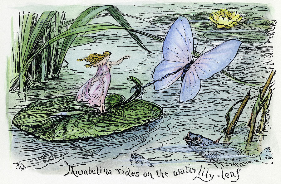 Andersen Thumbelina Drawing By Granger Pixels