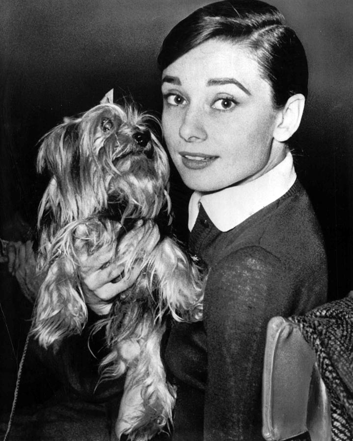 Audrey Hepburn Photograph - Audrey Hepburn #8 by Retro Images Archive