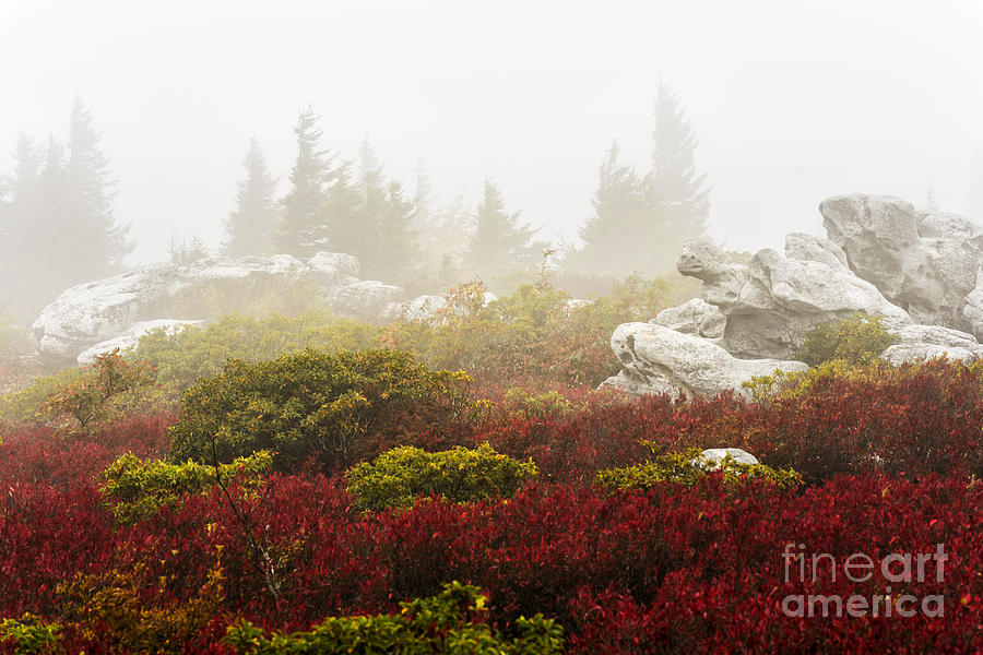 Fall Photograph - Autumn Fog Bear Rocks #8 by Thomas R Fletcher