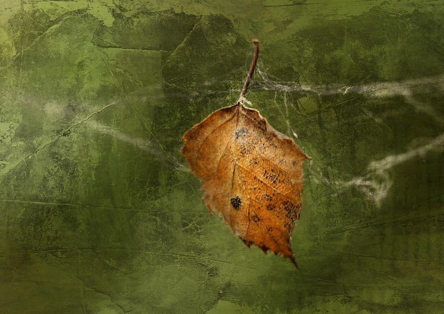 Nature Photograph - Autumn  #8 by Heike Hultsch