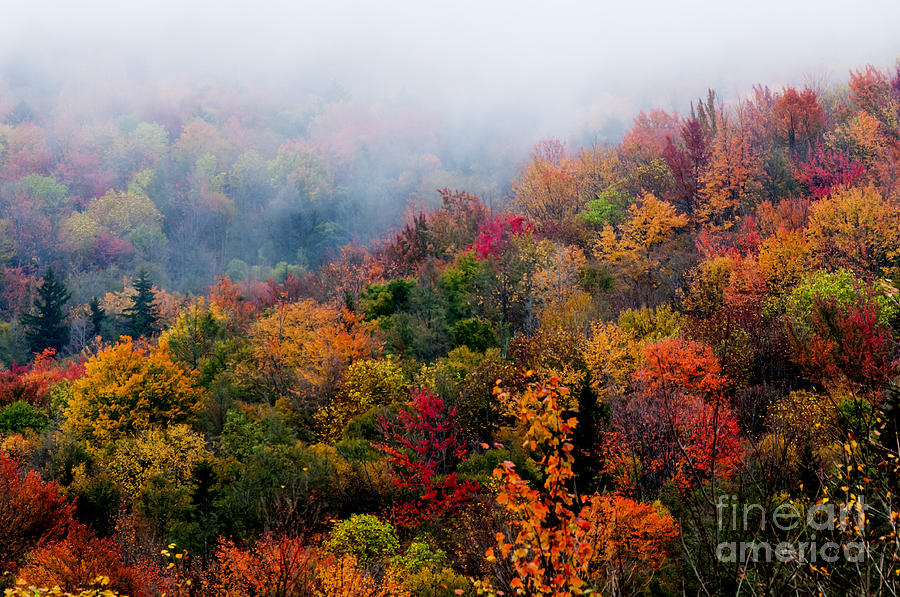 Autumn Highland Scenic Highway #8 Photograph by Thomas R Fletcher