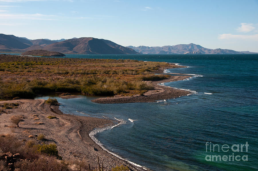 Bahia De La Concepcion, Mexico #8 Photograph by Mark Newman Bahia De La Concepcion, Mexico #8 Photograph by Mark Newman