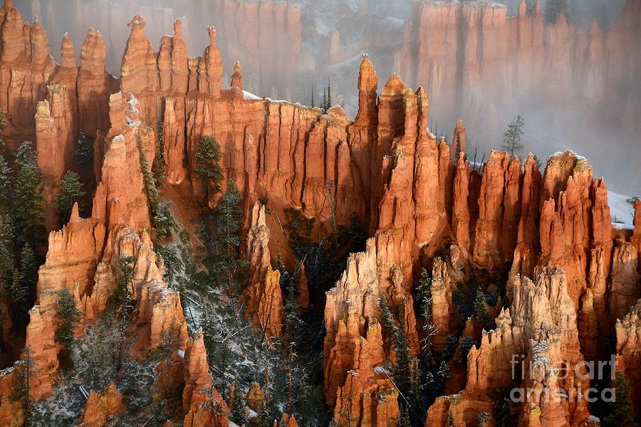 Bryce Canyon #8 Photograph by Marc Bittan
