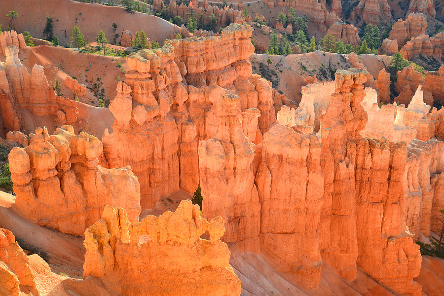Bryce Canyon #11 Photograph by Ray Mathis