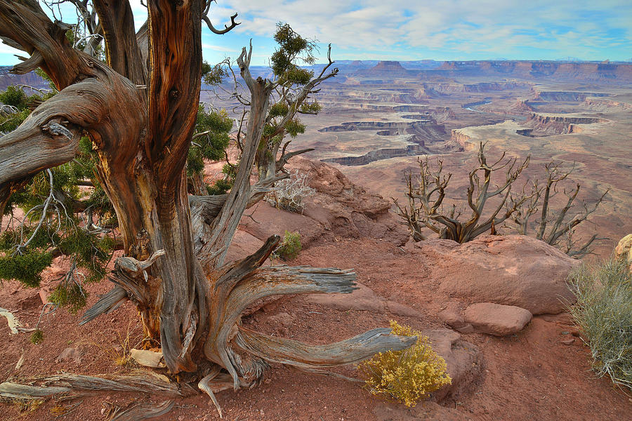Canyonlands #11 Photograph by Ray Mathis
