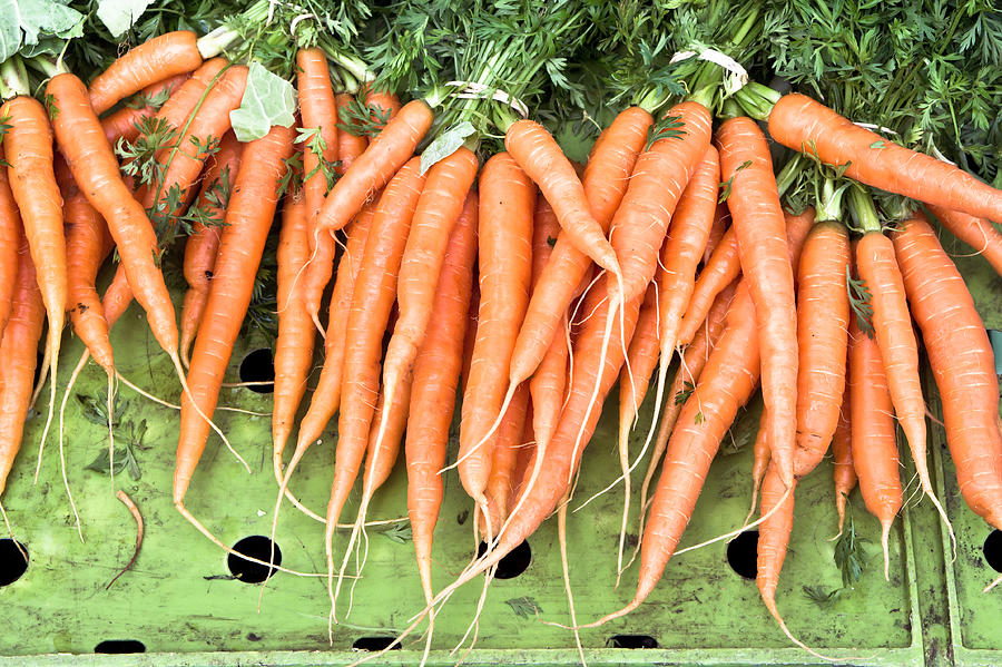 Carrot Photograph - Carrots #8 by Tom Gowanlock