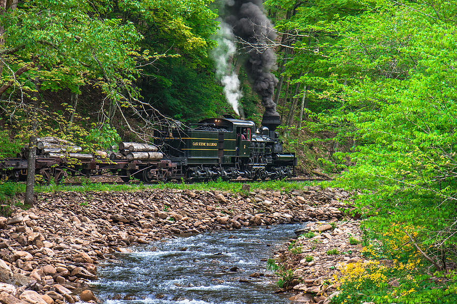 Cass Scenic Railroad #9 Photograph by Mary Almond