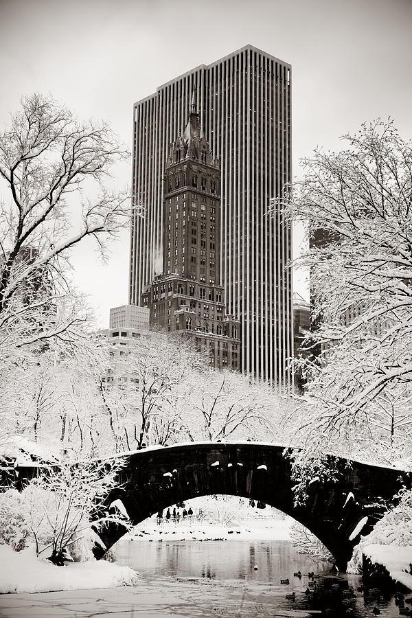 Central Park winter #8 Photograph by Songquan Deng