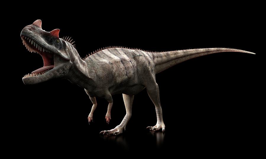 pro ceratosaurus