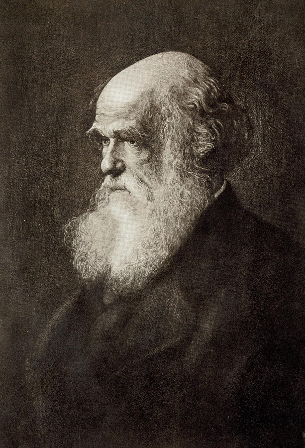 Charles Darwin #8 Photograph by Natural History Museum, London/science Photo Library