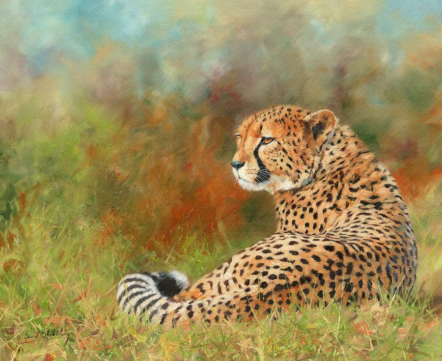 Cheetah Painting - Cheetah #8 by David Stribbling