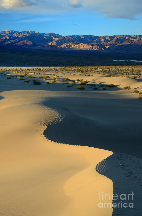 Death Valley #8 Photograph by Marc Bittan