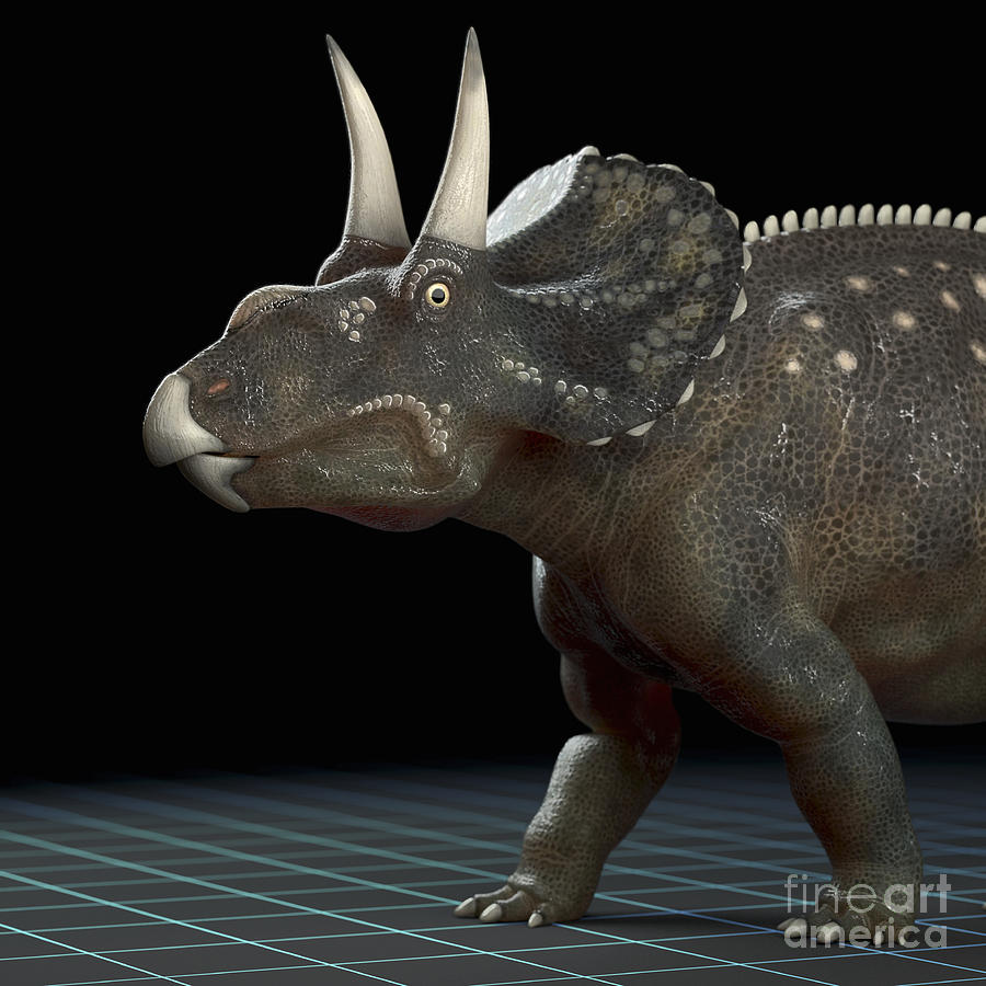 Dinosaur Diceratops #8 Photograph by Science Picture Co