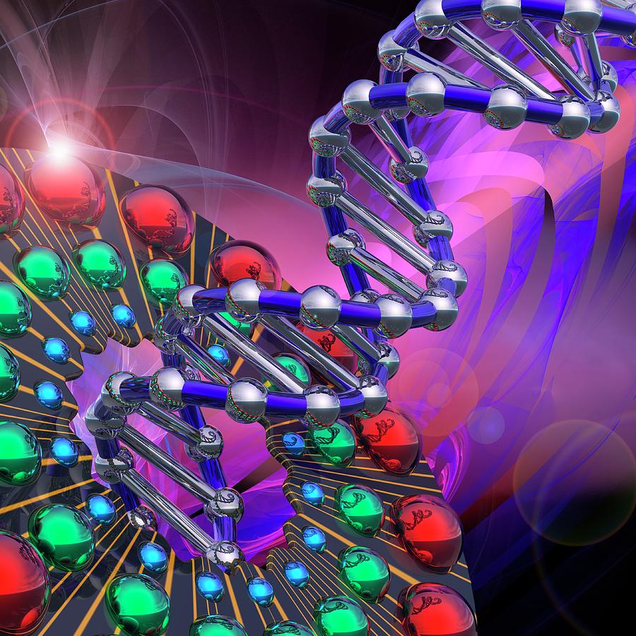 Dna Molecule Photograph by Laguna Design/science Photo Library - Fine ...