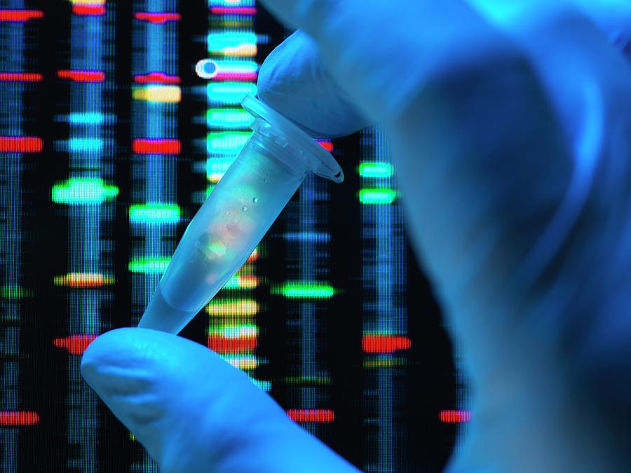Dna Research #8 Photograph by Tek Image/science Photo Library